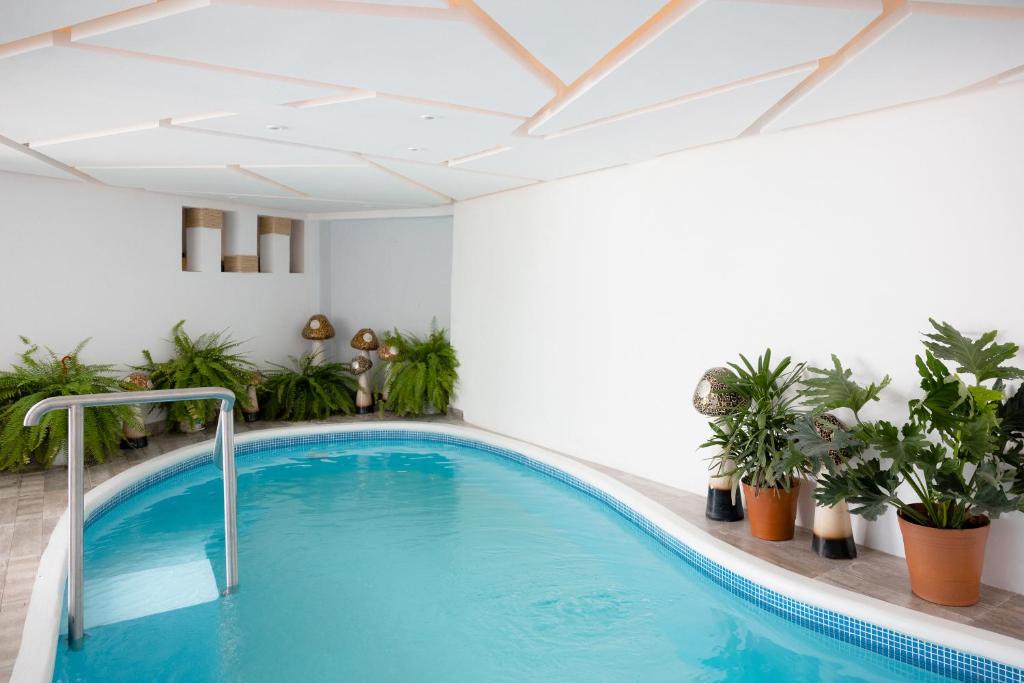 Πισίνα στο ή κοντά στο Casa Galeria Beach Front