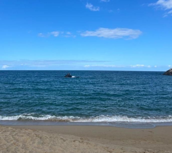 a beach with the ocean and a boat in the water at Yudama Gangneung in Gangneung