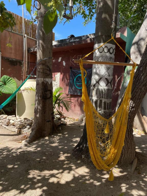 Fotografie z fotogalerie ubytování La Casa del Kéej Hostel v destinaci Mérida