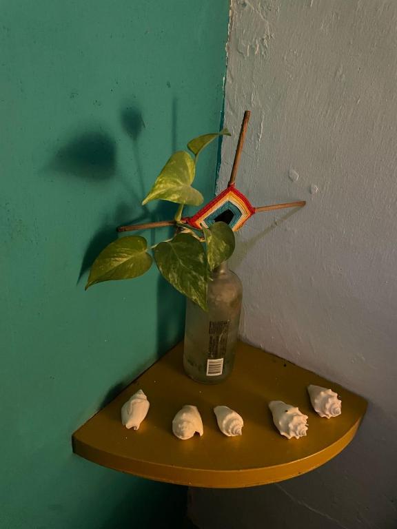 Fotografie z fotogalerie ubytování La Casa del Kéej Hostel v destinaci Mérida