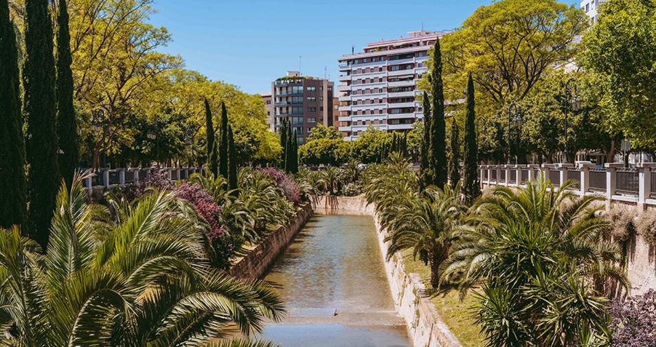 a river in a city with palm trees and buildings at Jaime III - Palma center - Luxury Suites in Palma de Mallorca