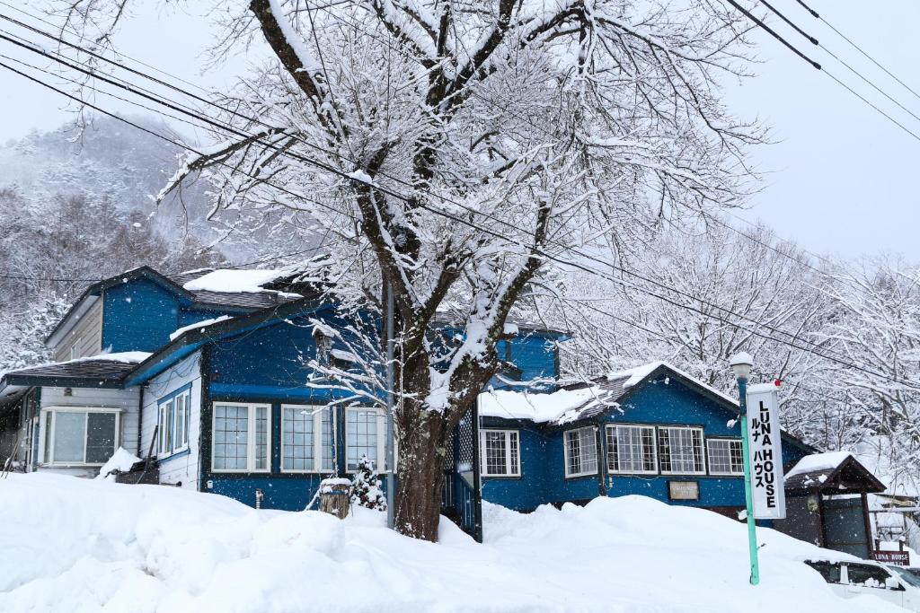中野市的住宿－Luna House，雪中有一棵树的蓝色房子