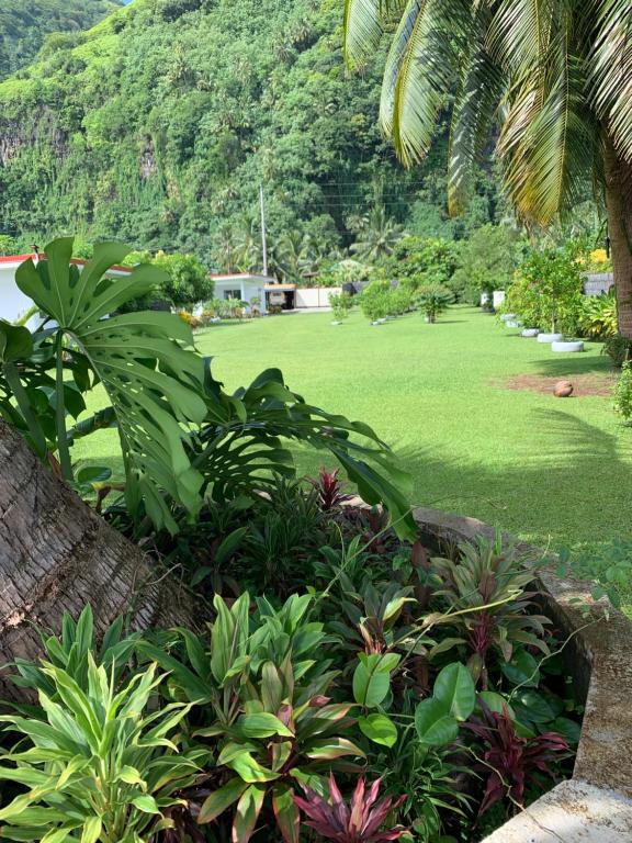 ATITAUTU Guest House - photo 11 - Tahiti, Polynésie