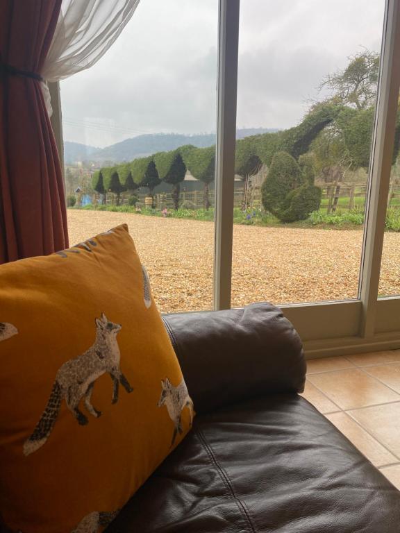 Myrtleberry Studio BnB - Studio With Garden View