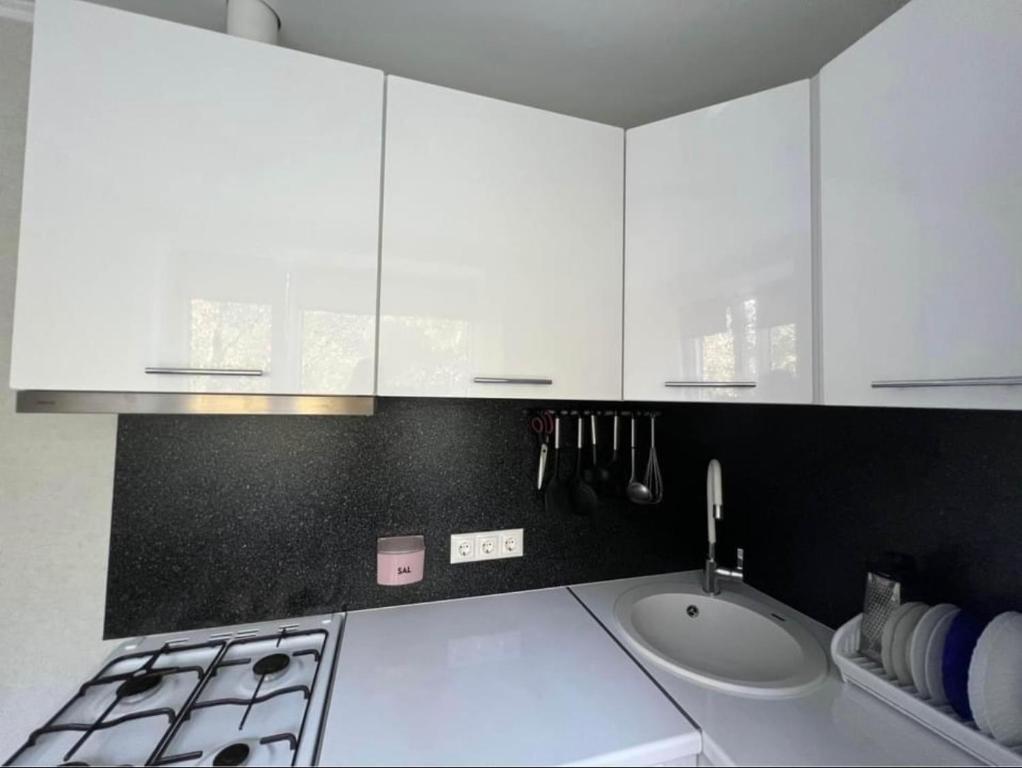 Kuchyň nebo kuchyňský kout v ubytování Narva Apartment AV