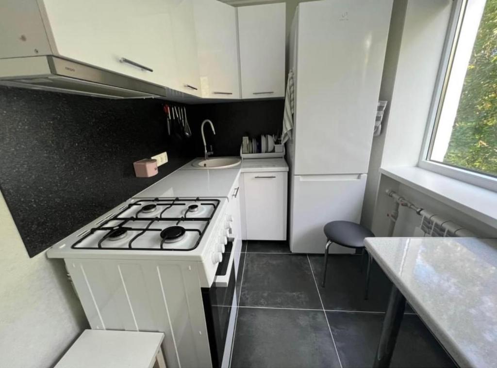 Kuchyň nebo kuchyňský kout v ubytování Narva Apartment AV