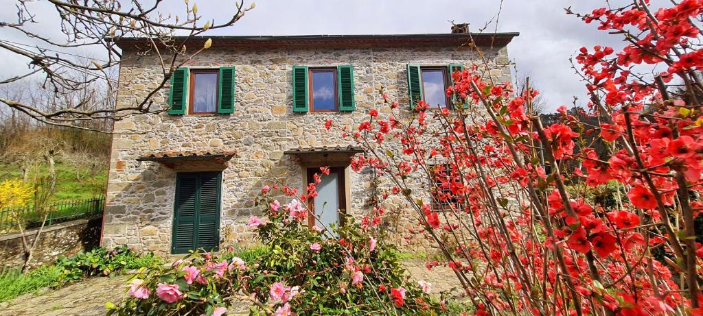 a stone house with green windows and red flowers at Casa Millefiori in Bagni di Lucca
