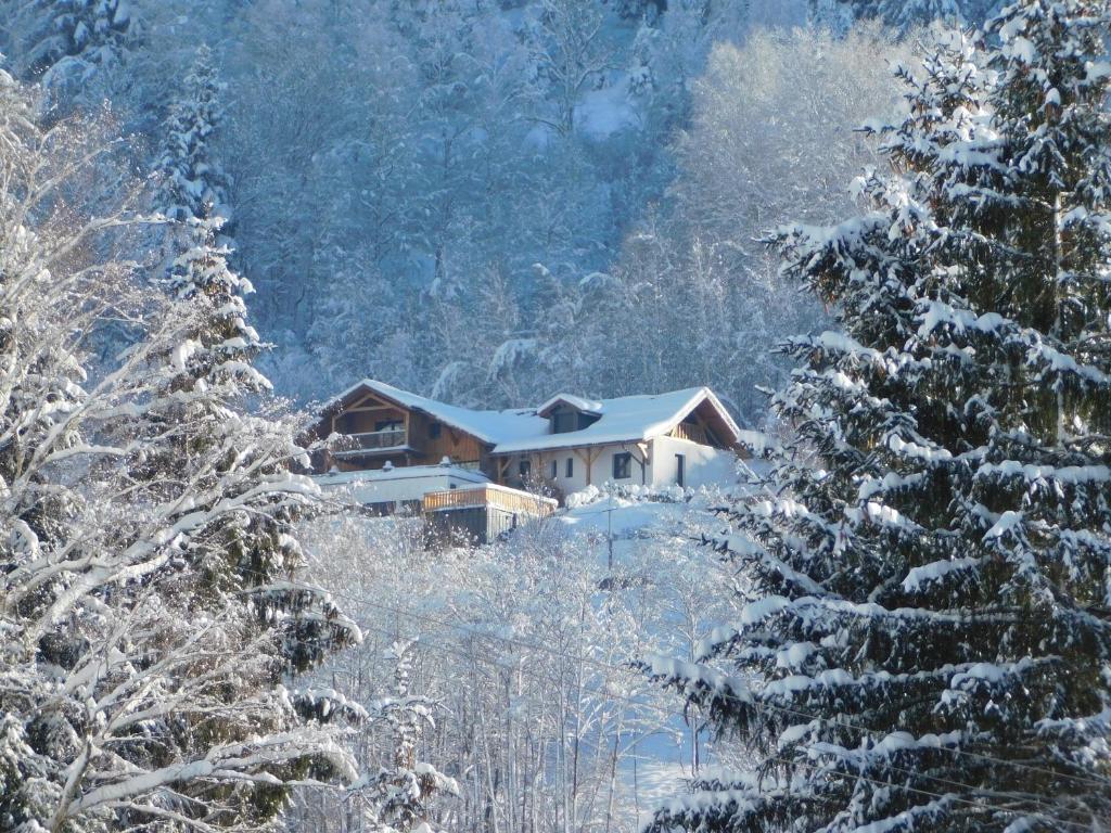 a house in the middle of a snow covered forest at Chalet Le Lodge in Ventron