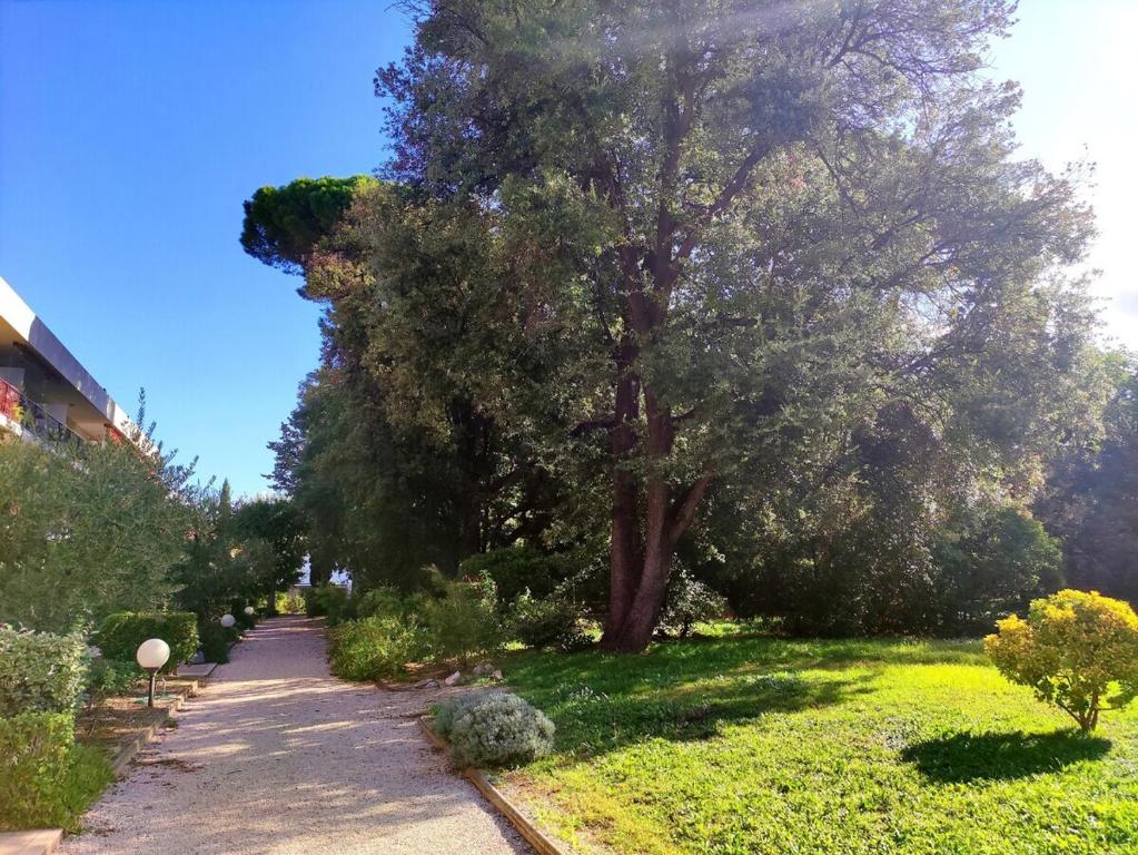 a tree in the middle of a yard with a sidewalk at Studio Plages Vélodrome by Villa Reiala in Marseille