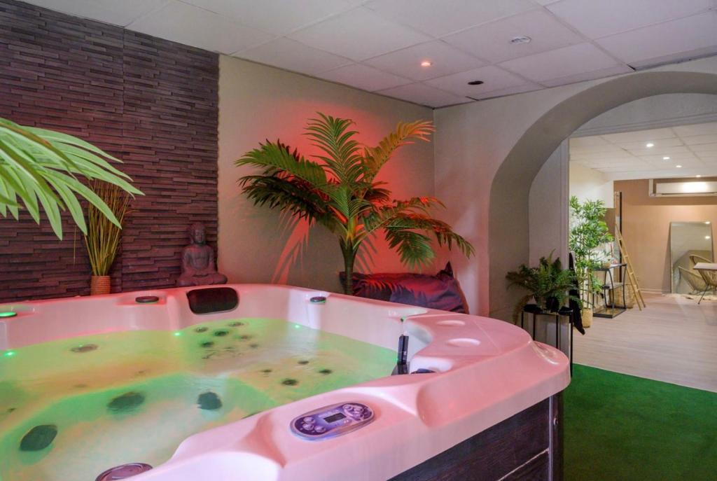a large pink bath tub in a room at L'escapade in Auriol