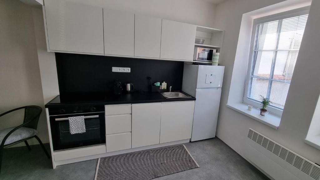Kuchyň nebo kuchyňský kout v ubytování Apartmány Atrium
