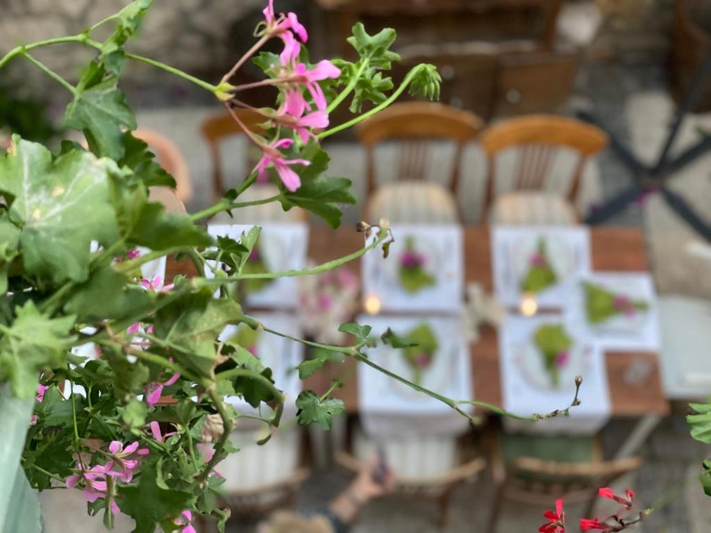 eine Pflanze mit rosa Blumen vor den Stühlen in der Unterkunft Krem Hotel in Alacati