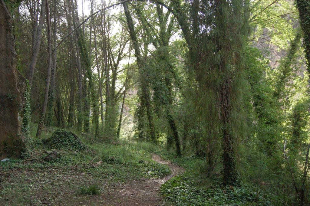 Paisaje cerca of this country house