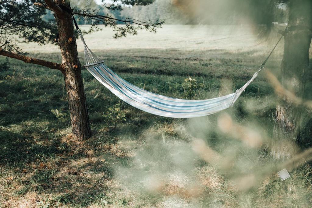 Fotografie z fotogalerie ubytování Metsatuule puhkeküla v destinaci Hiiumaa