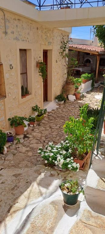 Κήπος έξω από το Grandpa's home