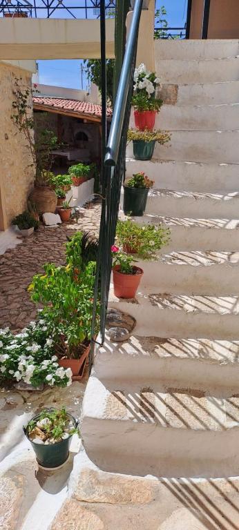 Φωτογραφία από το άλμπουμ του Grandpa's home στην Αρεόπολη