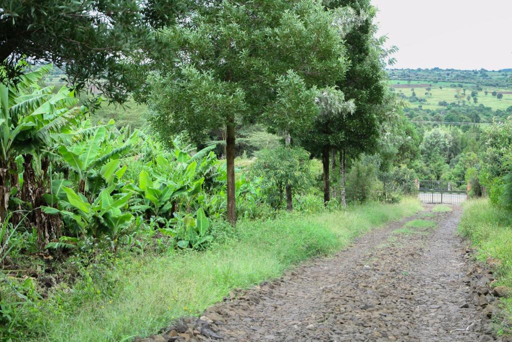 un chemin de terre dans un champ planté d'arbres et d'herbes dans l'établissement Banana Hills Haven, à Narok