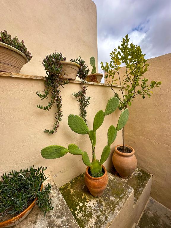 Fotografie z fotogalerie ubytování Casa Rural del Juez v destinaci Alcalá del Júcar