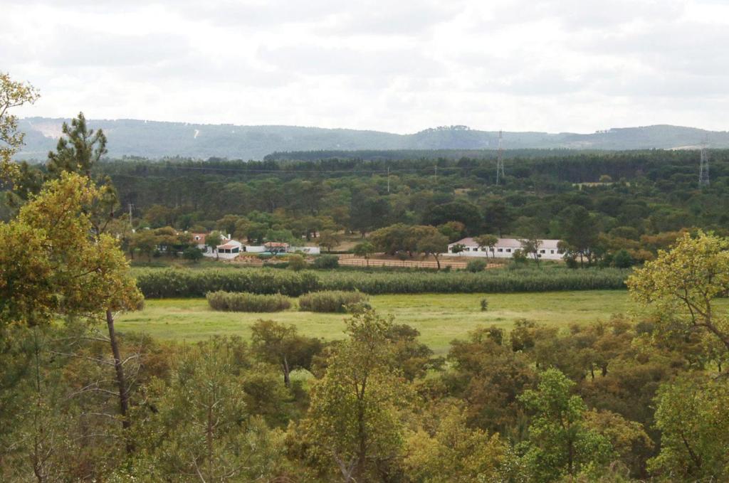 een uitzicht op een veld met bomen en huizen bij Quinta do Archino in Lissabon