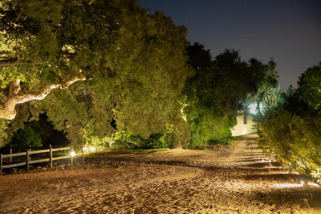 a dirt road with a fence and trees at night at Quinta do Archino 18 in Lisbon