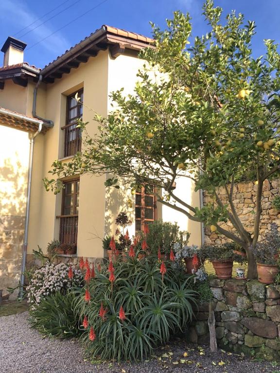 Zahrada ubytování Casa Rural Trebol4Hojas