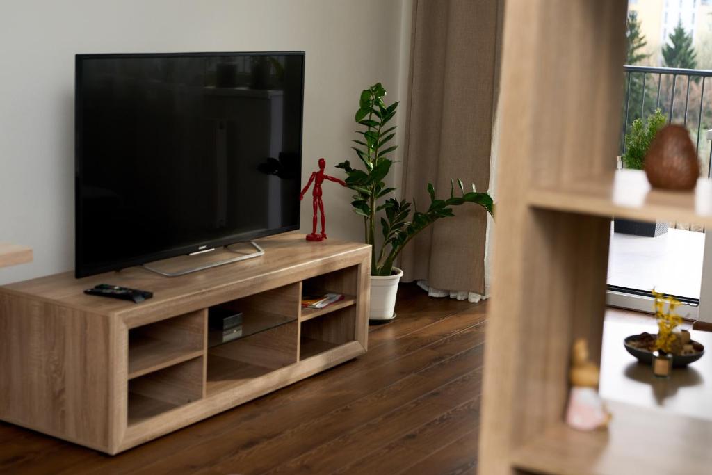 Televízia a/alebo spoločenská miestnosť v ubytovaní Apartman A&M