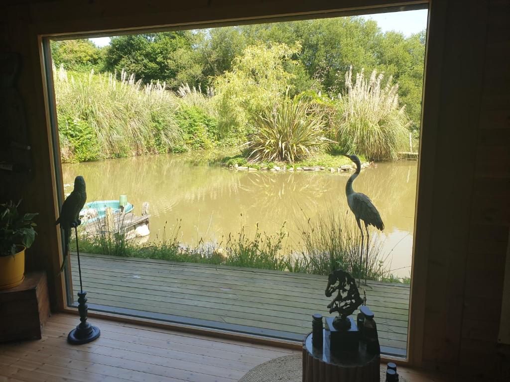 une grande fenêtre avec un oiseau debout dans l'eau dans l'établissement Ranch, à La Haye-dʼEctot