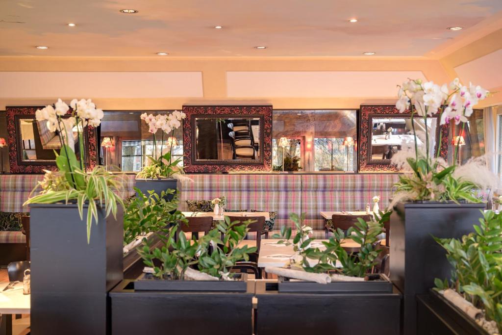 Hotel Parc Belle-Vue - Resim 37