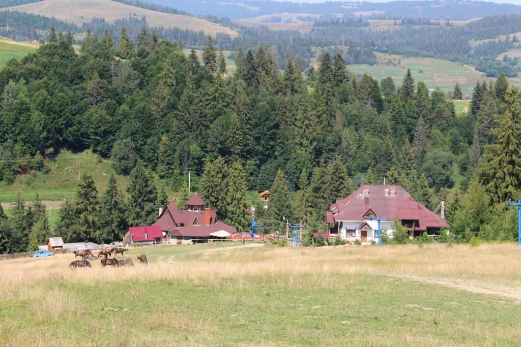 Příroda nedaleko hotelu