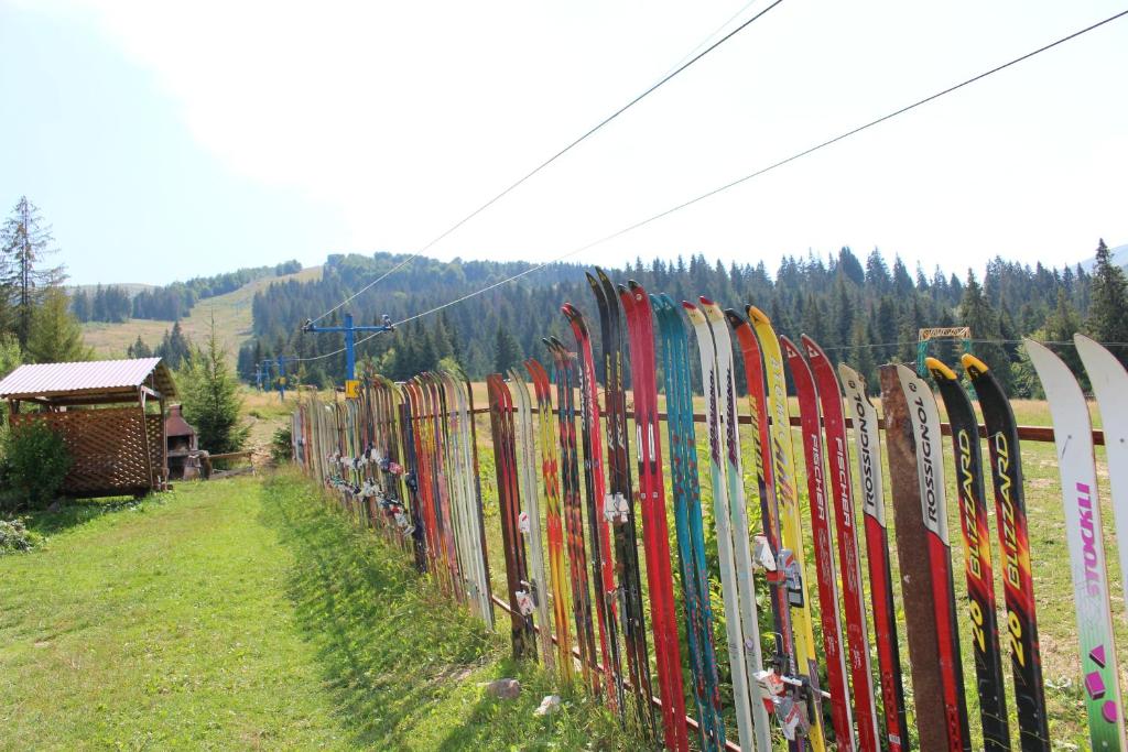 Příroda nedaleko hotelu