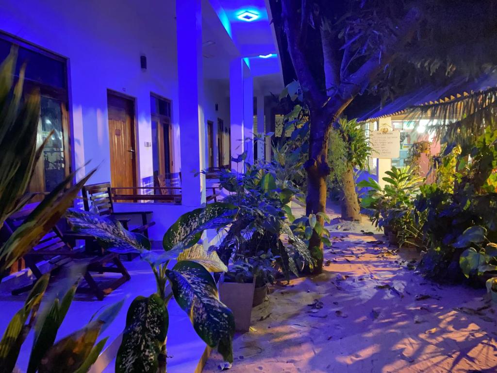 Tropicana Home Stay - 9