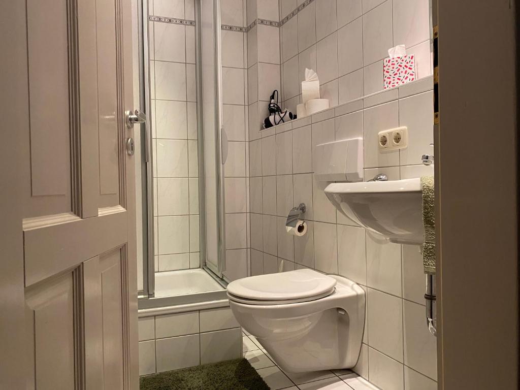 a bathroom with a toilet and a shower and a sink at Hotel Weinstube am Markt in Gerolzhofen