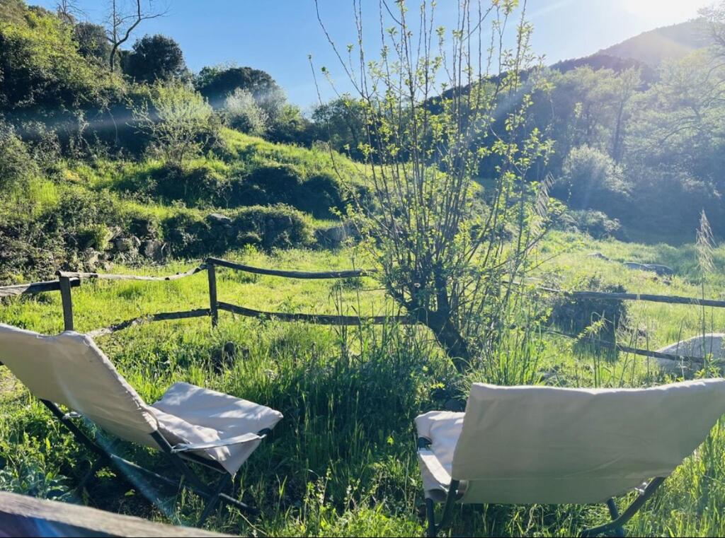 zwei Stühle im Gras auf einem Feld in der Unterkunft Cabane in Olivese