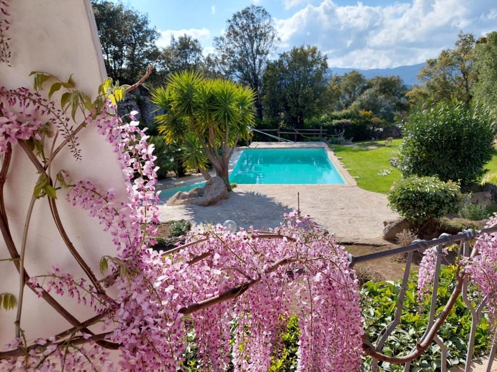 un jardin avec des fleurs violettes et une piscine dans l'établissement Sardinia Family Villas - Villa Gaia with private pool in the countryside, à Sant Antonio Di Gallura
