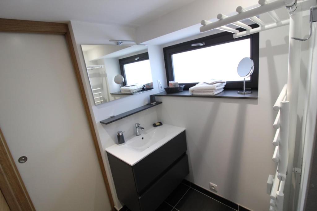 La salle de bains est pourvue d'un lavabo et d'un miroir. dans l'établissement Gite avec mezzanine le Clos des Sœurs, à Bainville-aux-Saules
