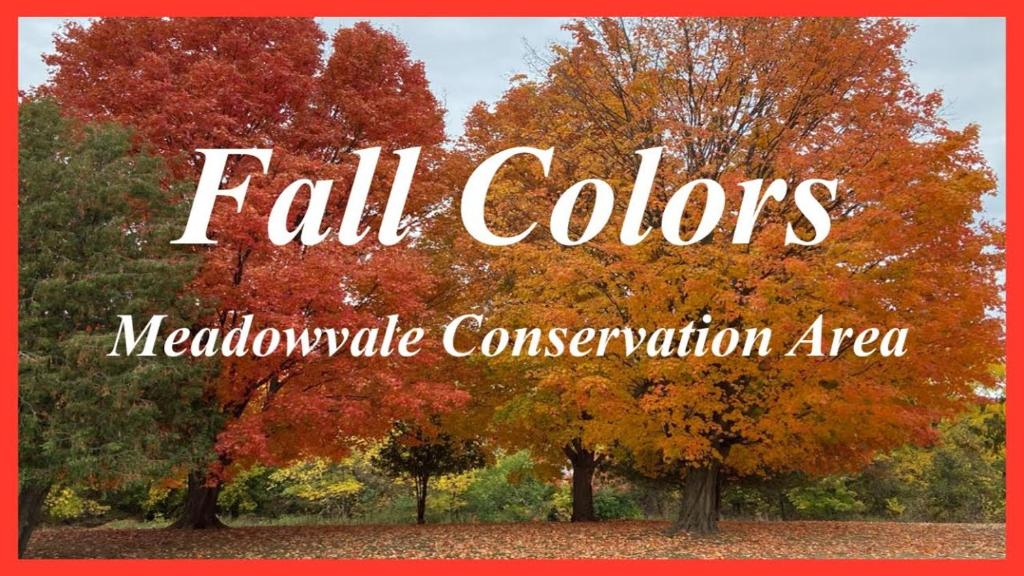 Cambridge Suites Mississauga - Resim 25