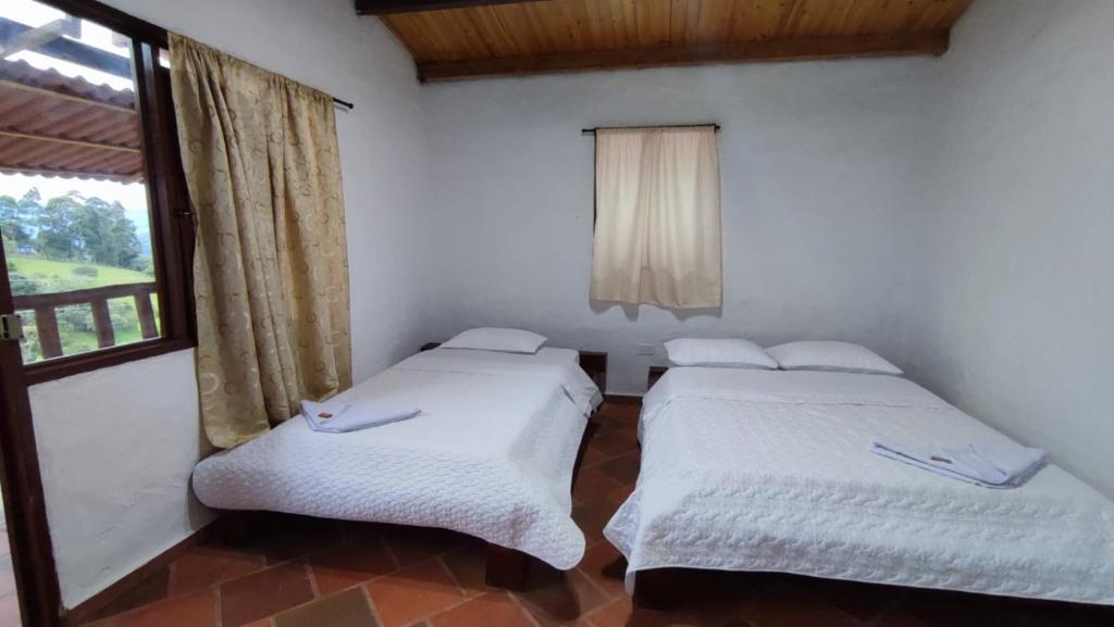 Antahkarana Casa Hotel - Habitación Gemela Con Vista A La Montaña