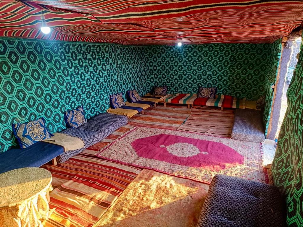 une chambre avec des canapés dans une pièce aux murs verts dans l'établissement Mhamid Sahara Camp - Mhamid El Ghizlane, à M'Hamid El Ghizlane