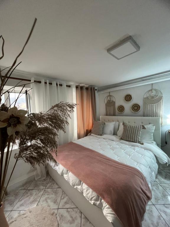 Un dormitorio con una cama grande y una planta en Himalayas, en Gjirokastra