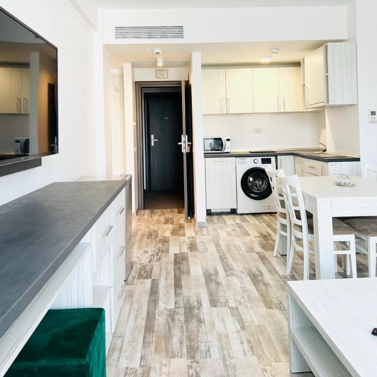 Casa Micle - Resim 26