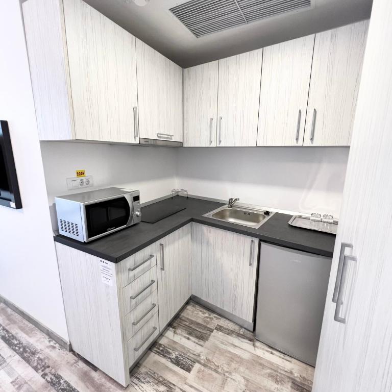 Kuchyň nebo kuchyňský kout v ubytování Casa Micle