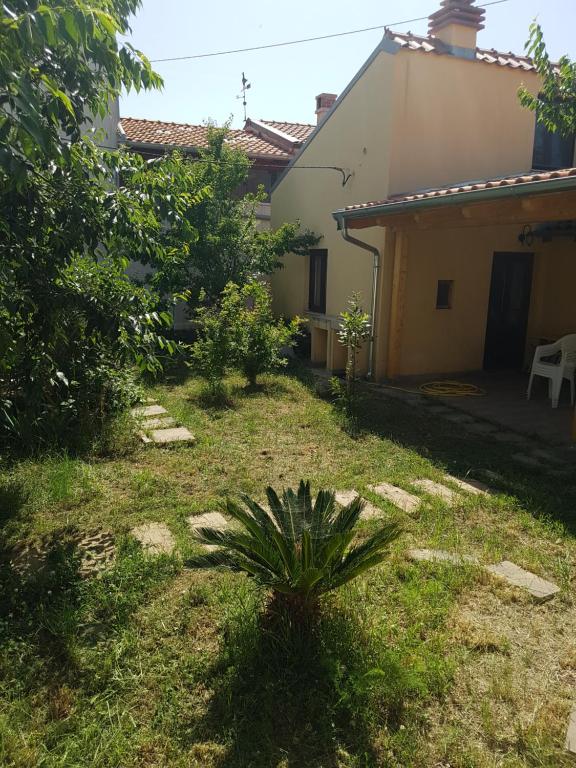 Zahrada ubytování Apartman STELLA MARIS