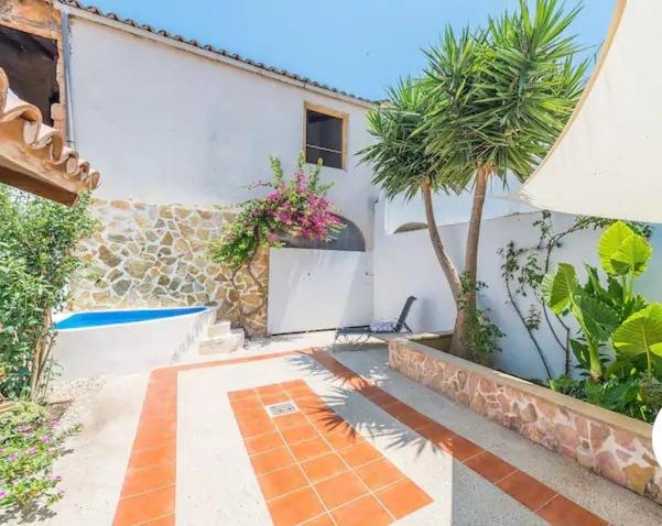 a courtyard with a palm tree and a building at Ca sa Cristeta de s'escola in Sa Pobla