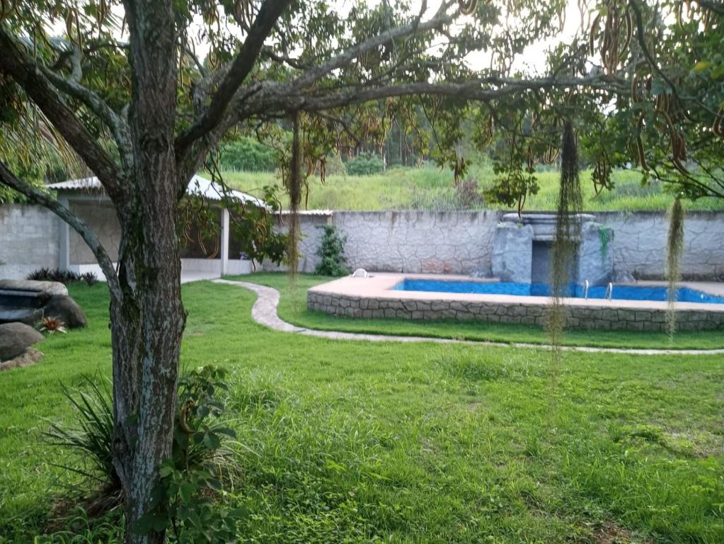 einen Hof mit Pool und Baum in der Unterkunft Recanto do cowboy in Vila Velha