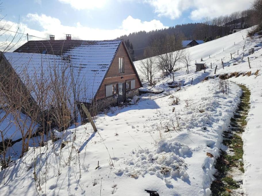 Un coin de montagne v zimě