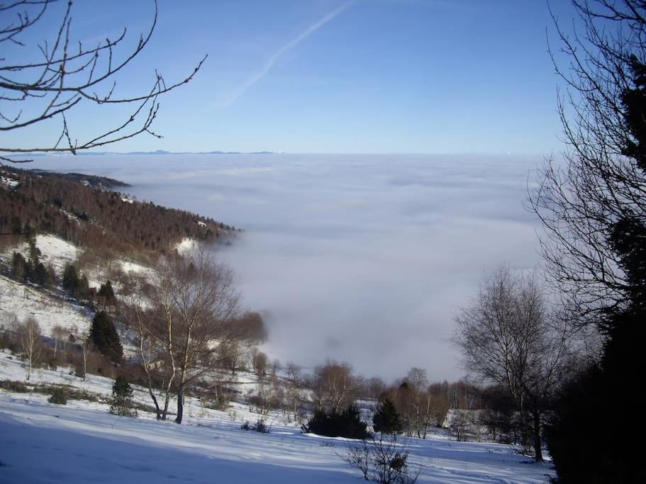 Un coin de montagne v zimě
