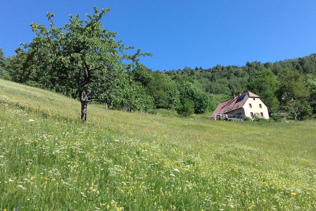 Příroda nedaleko apartmánu