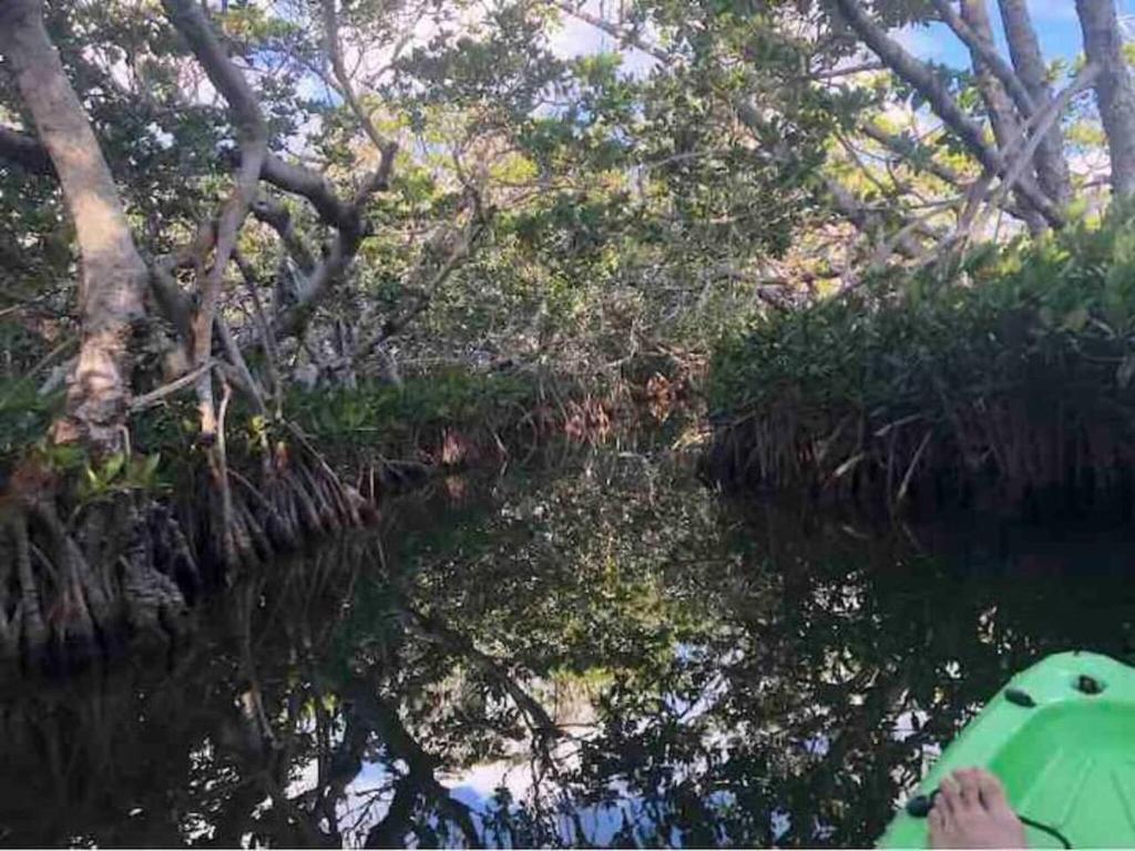 Paisagem natural perto da casa de férias
