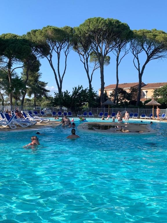 un groupe de personnes nageant dans une piscine dans l'établissement Maison dans centre Odalys Mas des Vignes, à Calvisson
