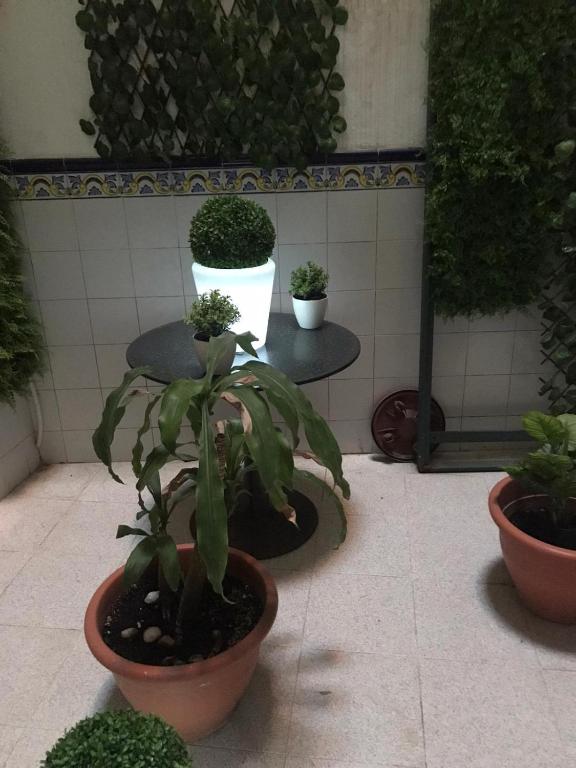 Zahrada ubytování La H escondida Valencia